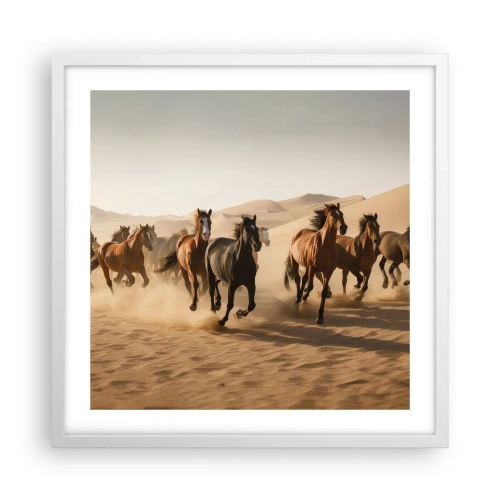 Poster in einem weißen Rahmen - Frei wie der Wind - 50x50 cm