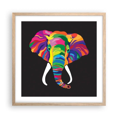 Poster in einem Rahmen aus heller Eiche - Der Elefant, der es liebte, im Regenbogen zu baden - 50x50 cm