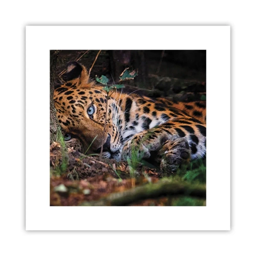 Poster - Vertrau mir - 30x30 cm