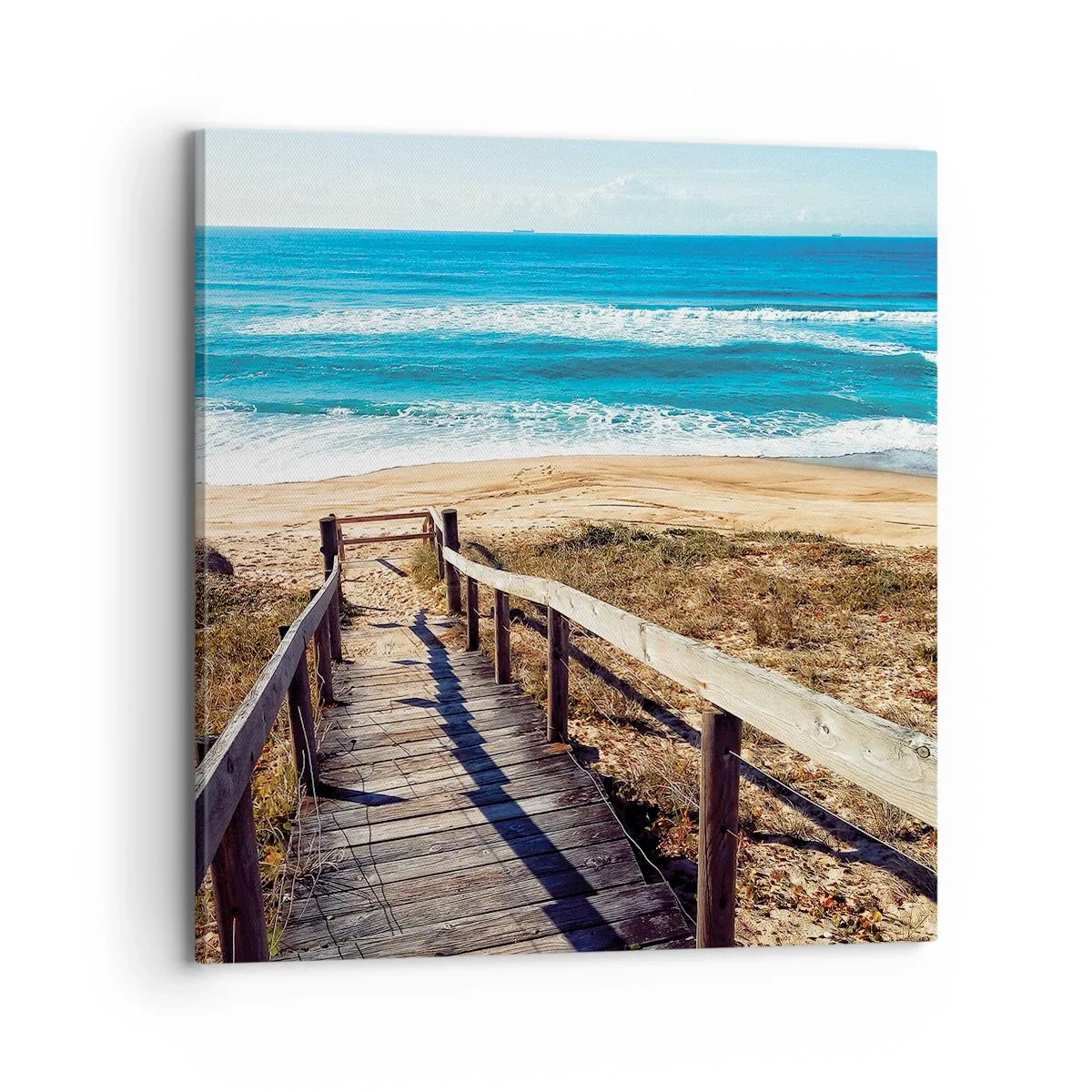 Bild auf Leinwand - Leinwandbild - Lauf! - 70x70 cm