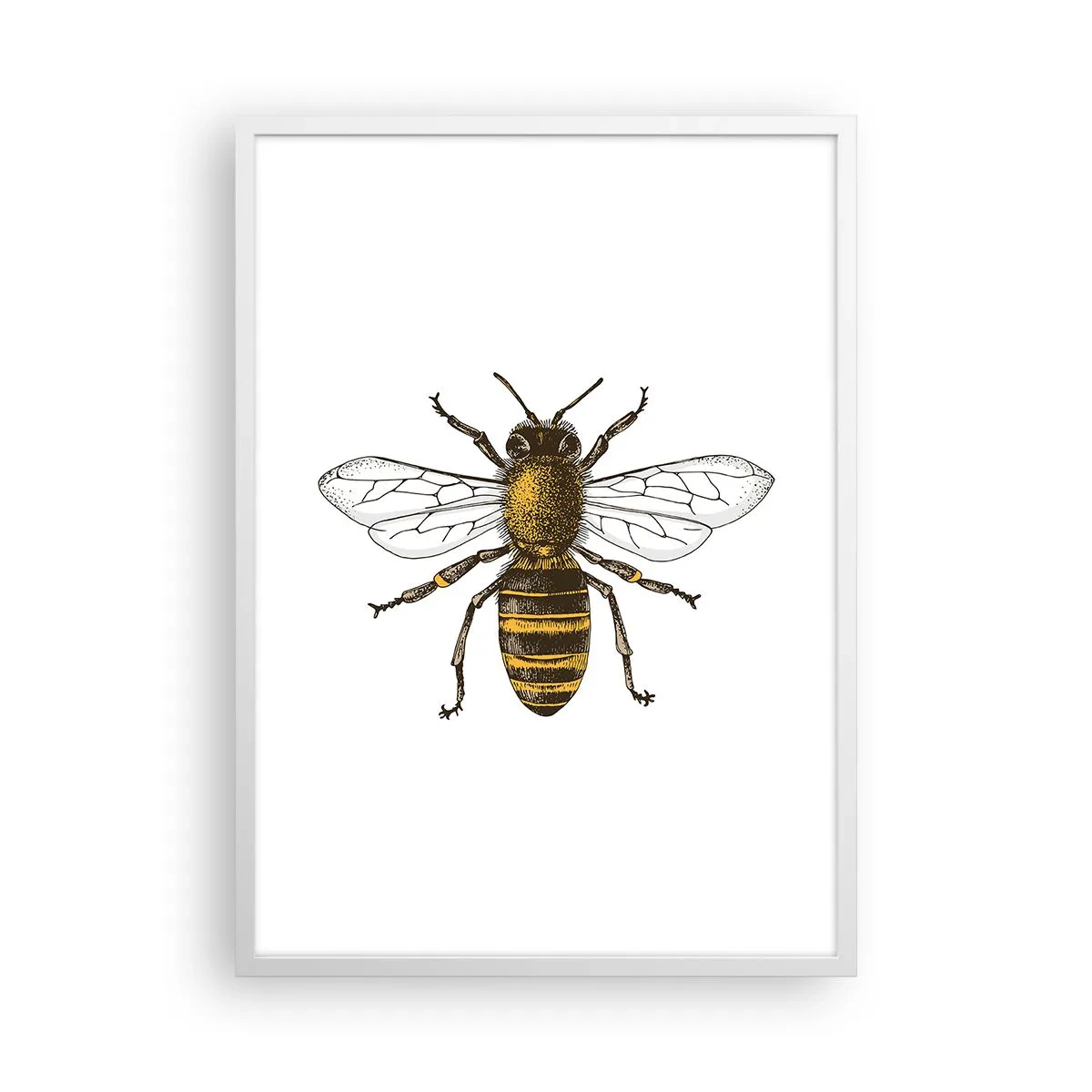 Poster in einem weißen Rahmen - Schön und gut - 50x70 cm