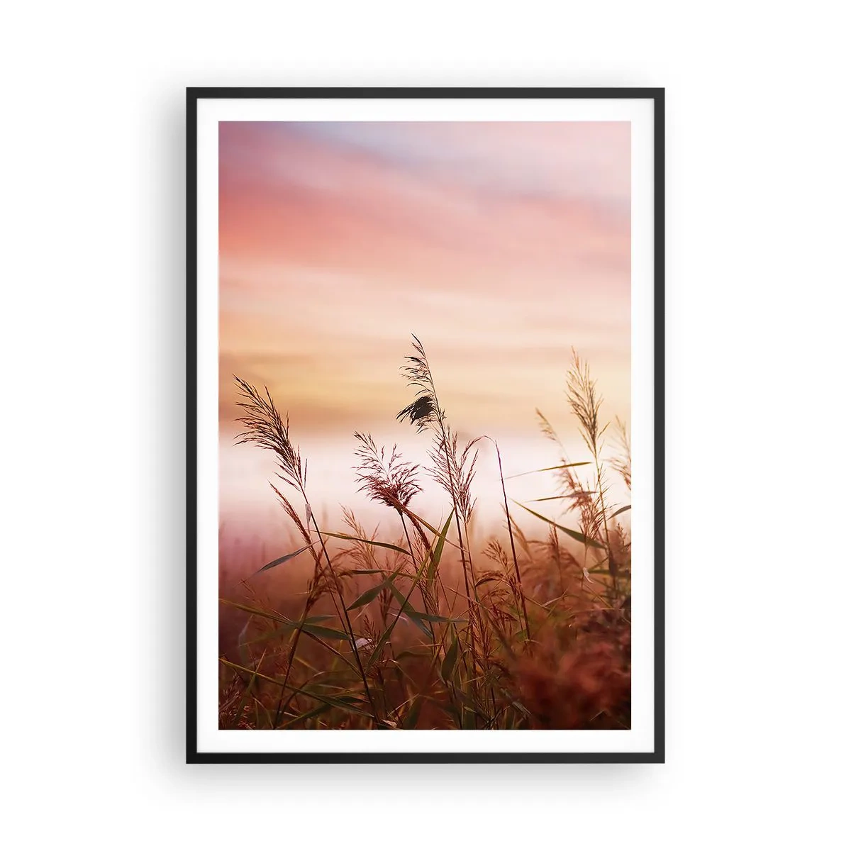 Poster in einem schwarzem Rahmen - Drachen, Löwenzahn, Wind - 70x100 cm