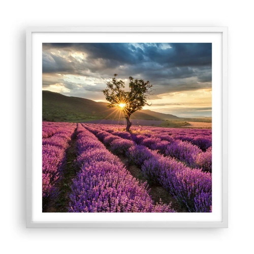 Poster in einem weißen Rahmen - Fliederfarbenes Aroma - 60x60 cm
