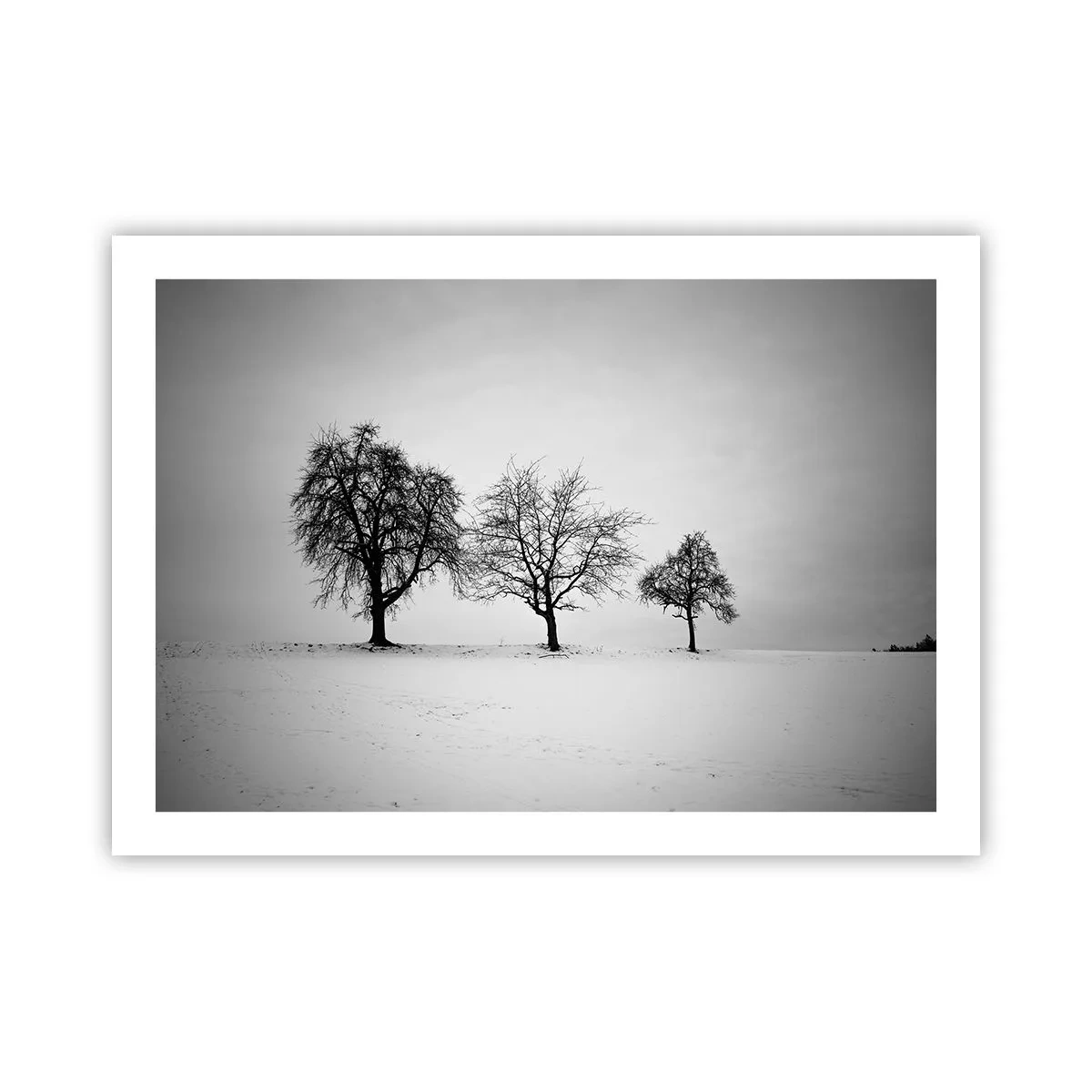 Poster - Wovon träumen sie? - 70x50 cm