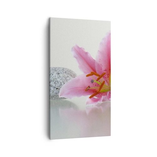 Bild auf Leinwand - Leinwandbild - Eine Studie in Pink, Grau und Weiß - 45x80 cm