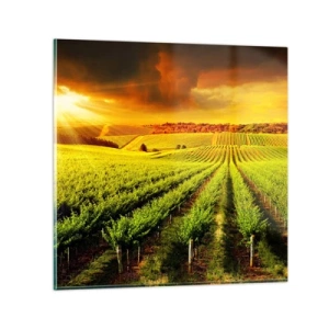 Glasbild - Bild auf glas - Unter der australischen Sonne - 50x50 cm
