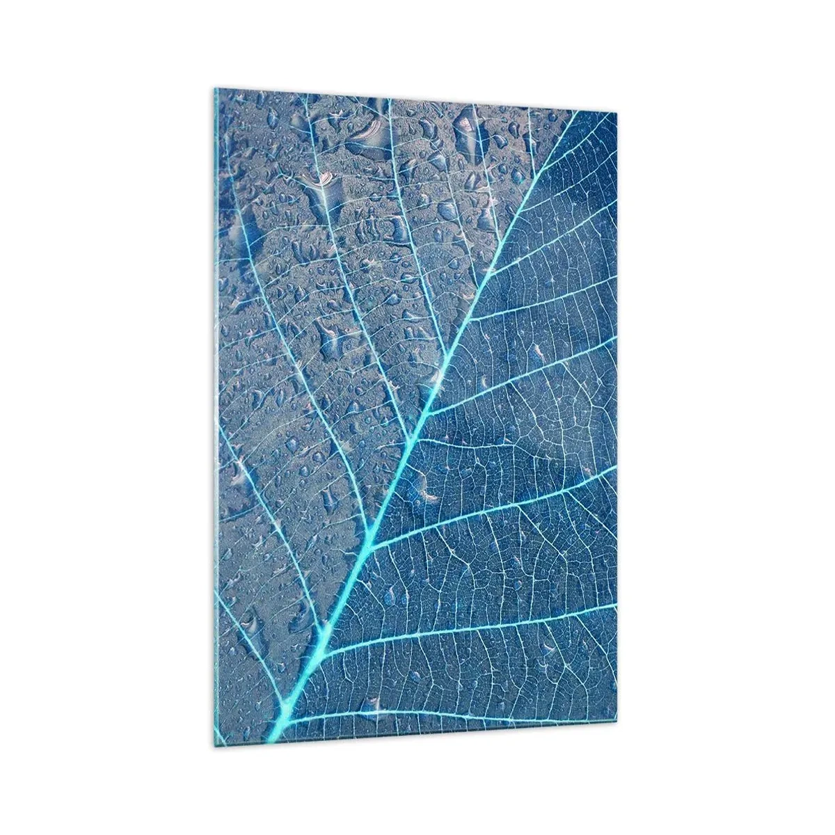 Glasbild - Bild auf glas - Ein Blatt in Blautönen mit Wassertropfen - 70x100cm - Leben in Blau - Moderne Wanddekoration für Wohnzimmer und Schlafzimmer ARTTOR