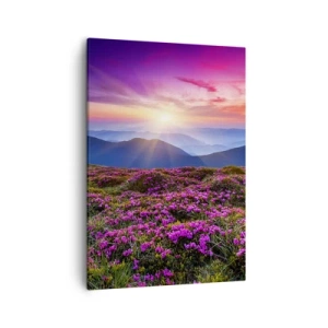 Bild auf Leinwand - Leinwandbild - Bergwiese mit Blumen bei Sonnenuntergang - 50x70cm - Kräuter dufteten nach frischen Trauben von den Feldern - Moderne Wanddekoration für Wohnzimmer und Schlafzimmer ARTTOR