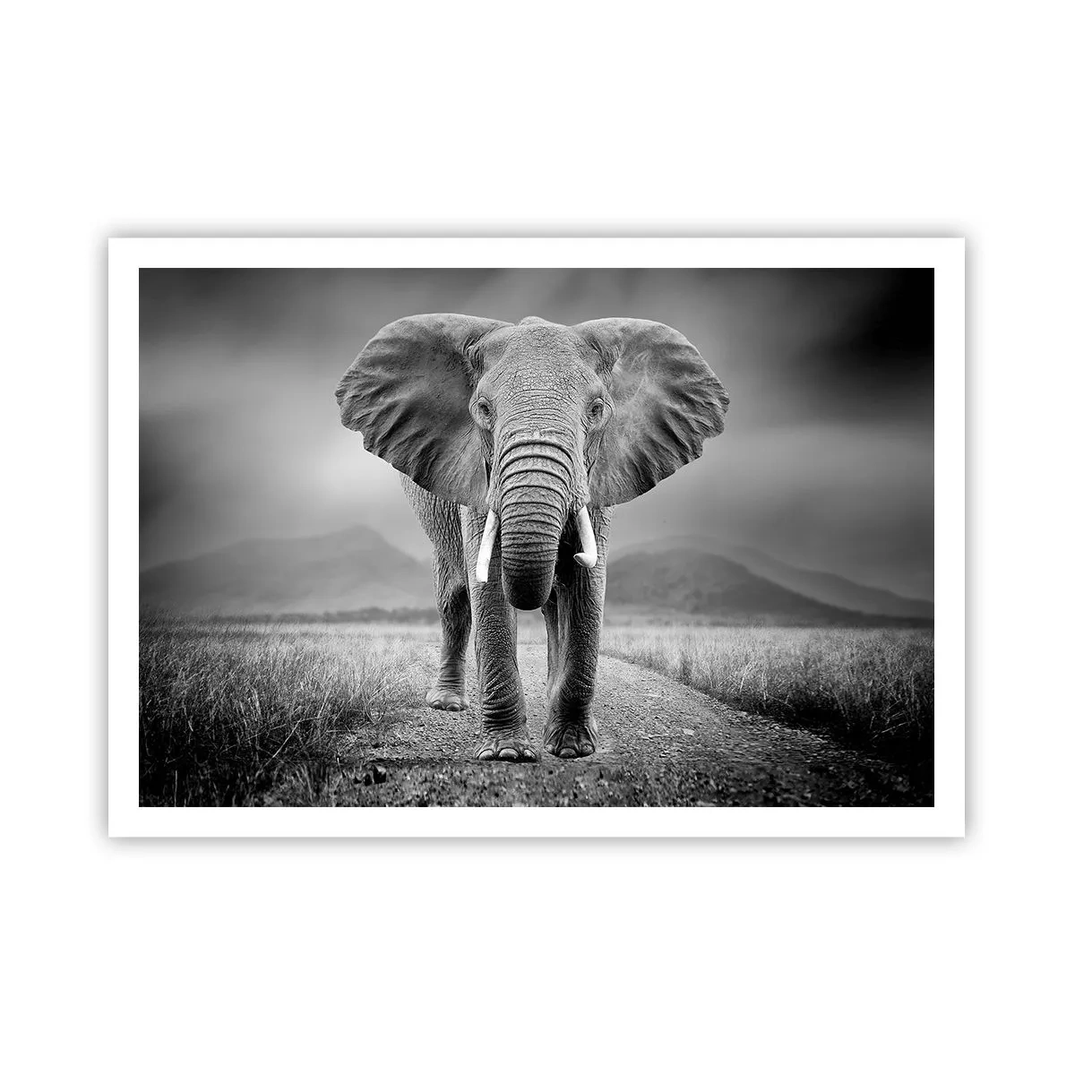 Poster - Ein mächtiger Elefant in der Savanne in monochromen Tönen - 100x70cm - Der Gastgeber heißt willkommen - Moderne Wanddekoration für Wohnzimmer und Schlafzimmer ARTTOR