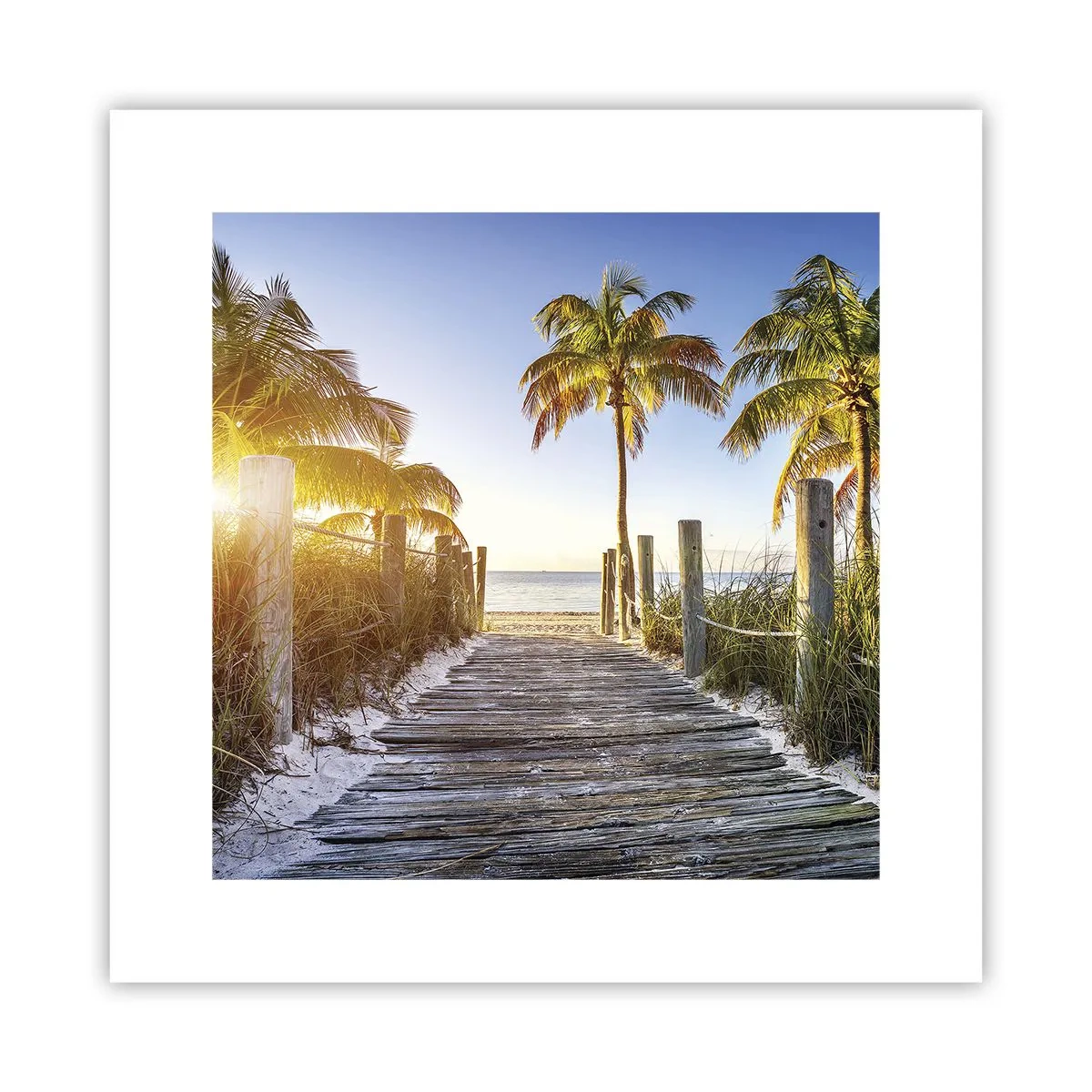 Poster - Direkt ins Paradies - 30x30 cm