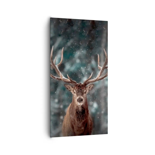 Bild auf Leinwand - Leinwandbild - Gekrönter König des Waldes - 65x120 cm
