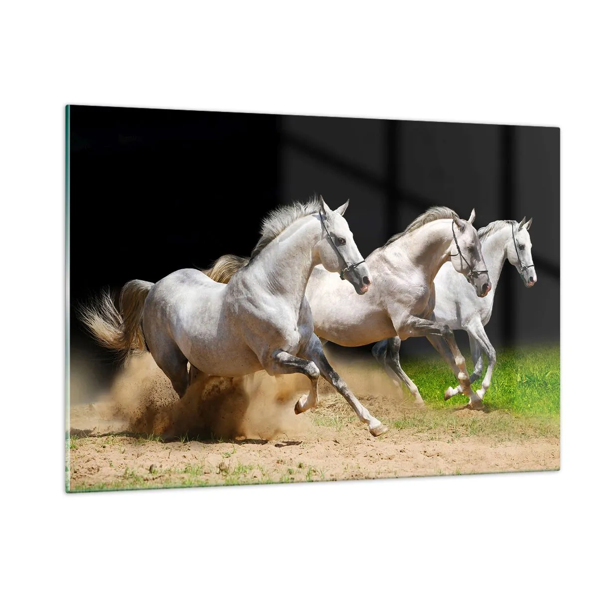 Glasbild - Bild auf glas - Drei weiße Pferde galoppieren über den sandigen Boden - 120x80cm - Drei Grazien - Moderne Wanddekoration für Wohnzimmer und Schlafzimmer ARTTOR