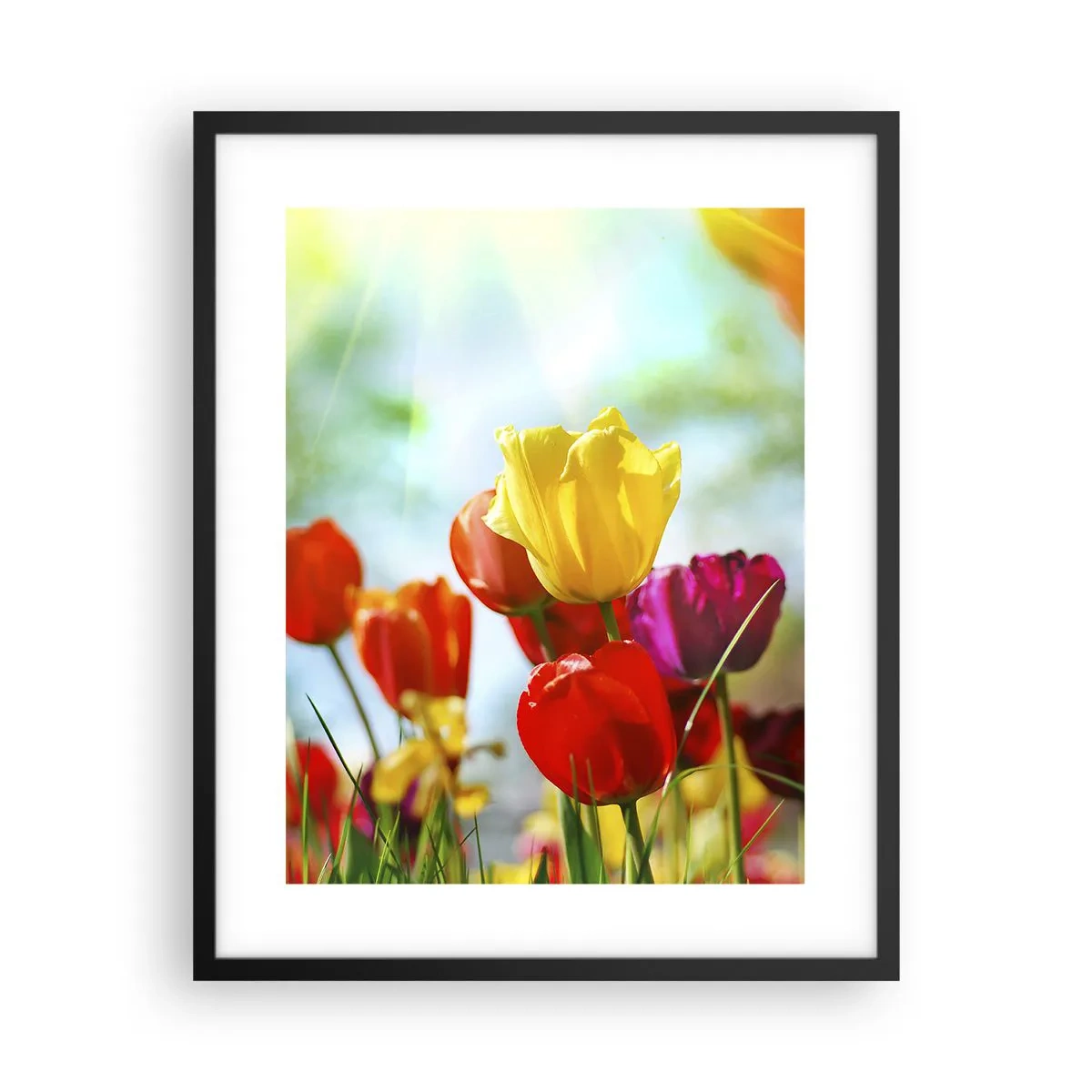 Poster in einem schwarzem Rahmen - Alle Farben der Sonne - 40x50 cm