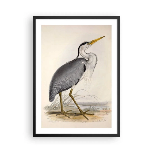Poster in einem schwarzem Rahmen - Reihergnade - 50x70cm - Reiher Gnade - Moderne Wanddekoration für Wohnzimmer und Schlafzimmer ARTTOR