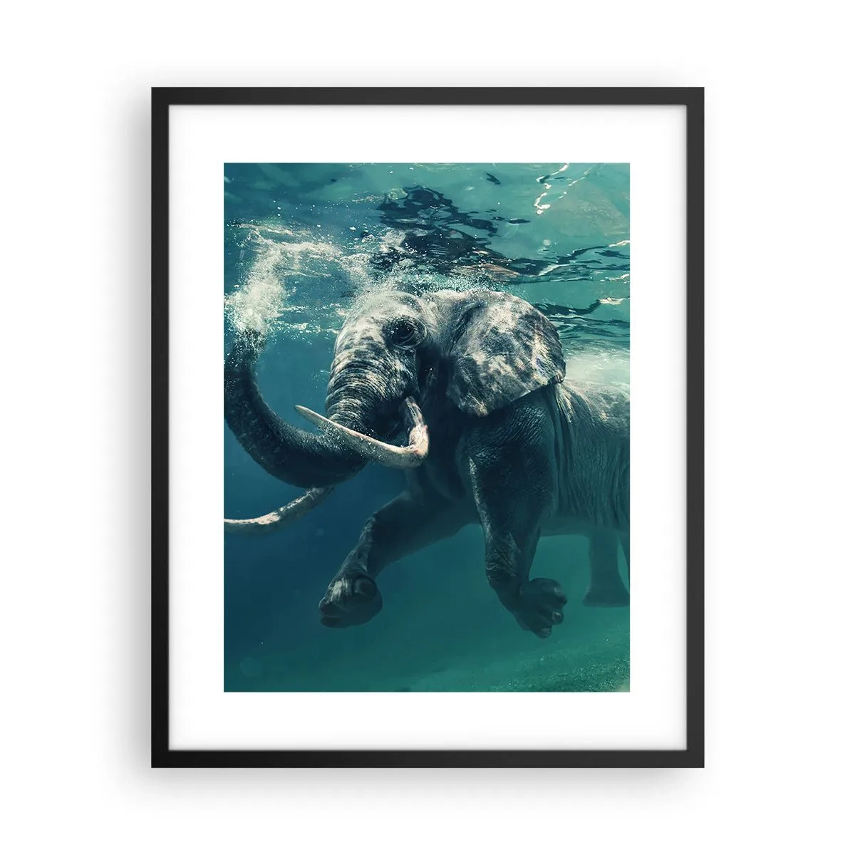 Poster in einem schwarzem Rahmen - Jeder schwimmt gerne - 40x50 cm