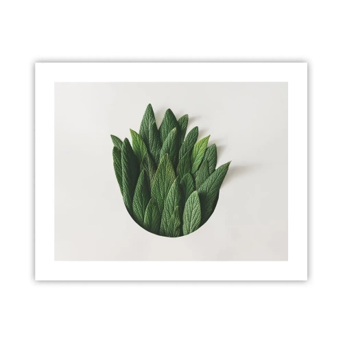 Poster - Ungebremste Neugier - 50x40 cm