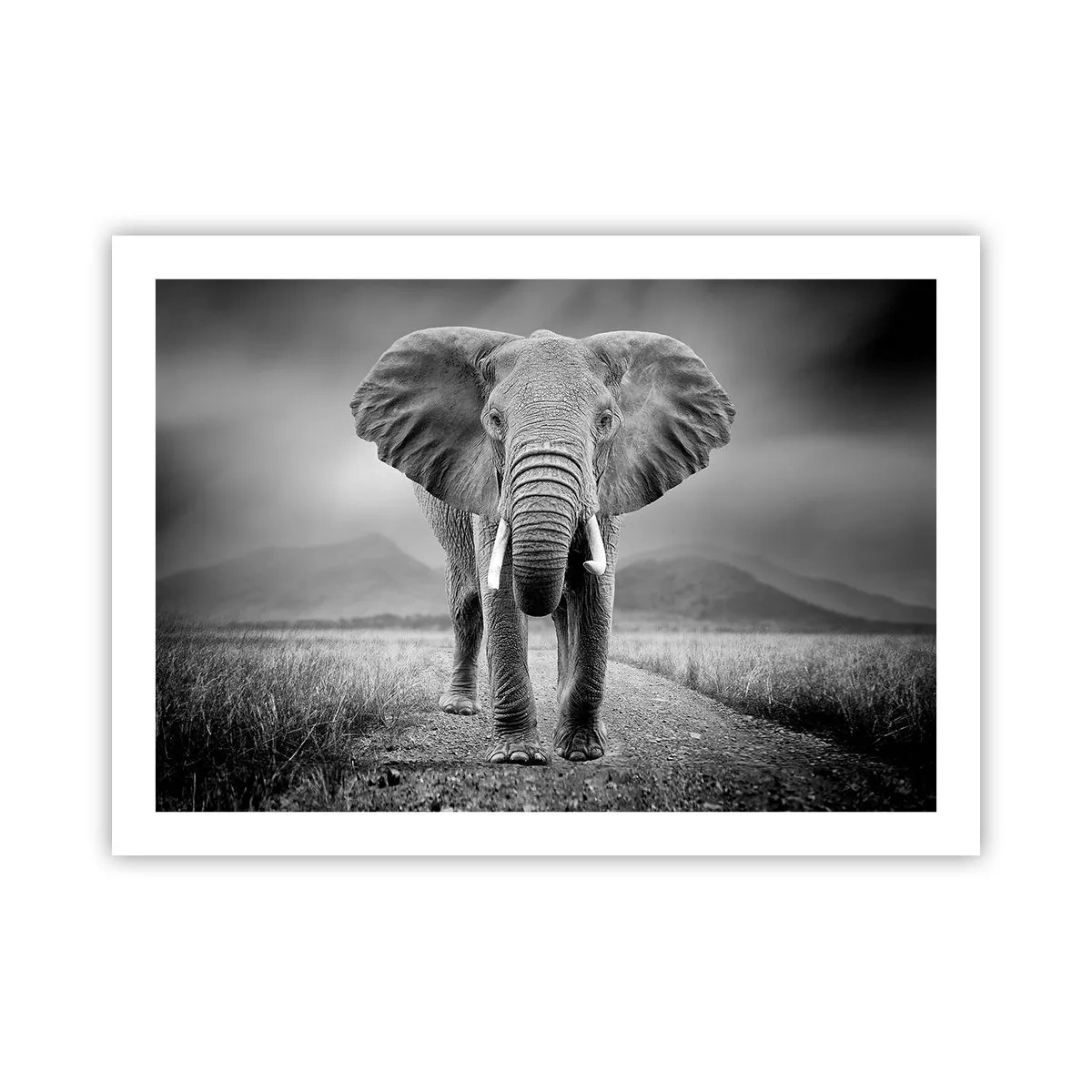 Poster - Der Gastgeber heißt willkommen - 70x50 cm