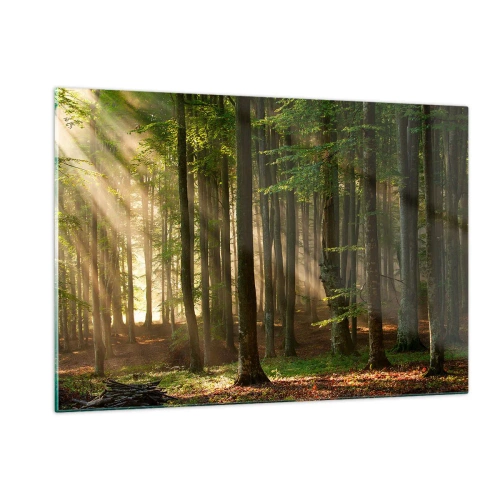 Glasbild - Bild auf glas - Sonnenstrahlen scheinen durch die Bäume im Wald - 120x80cm - Strahlend an einem Frühlingsmorgen - Moderne Wanddekoration für Wohnzimmer und Schlafzimmer ARTTOR