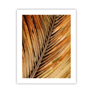 Poster - Kokosnuss-Gold - 40x50 cm