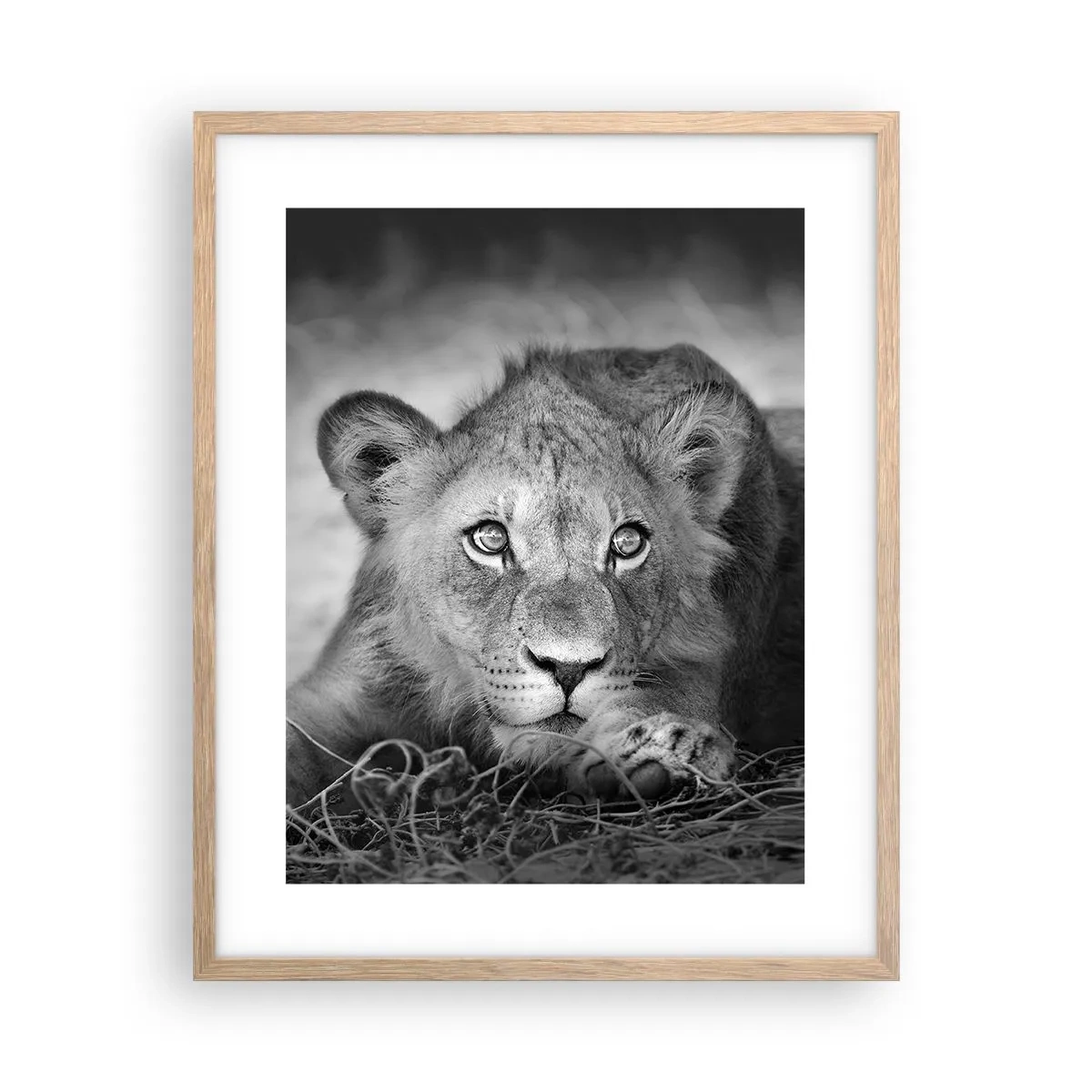 Poster in einem Rahmen aus heller Eiche - Königlicher Welpe - 40x50 cm