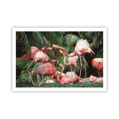 Poster - Nachmittagsklatsch - 91x61 cm