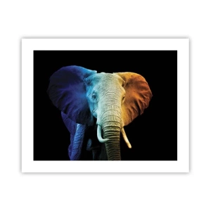 Poster - Exzentrisch, kein Verrückter - 50x40 cm