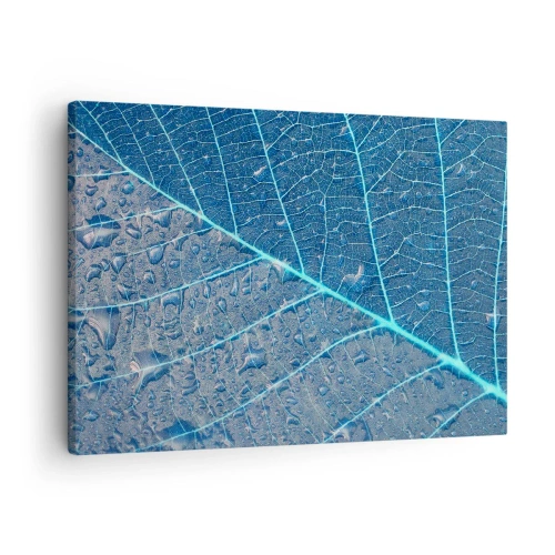 Bild auf Leinwand - Leinwandbild - Ein Blatt in Blautönen mit Wassertropfen - 70x50cm - Leben in Blau - Moderne Wanddekoration für Wohnzimmer und Schlafzimmer ARTTOR