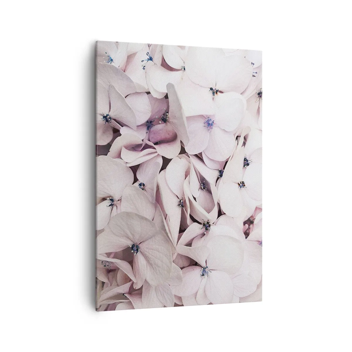 Bild auf Leinwand - Leinwandbild - Zarte weiße Hortensien in Pastelltönen - 70x100cm - In einer Blumenflut - Moderne Wanddekoration für Wohnzimmer und Schlafzimmer ARTTOR