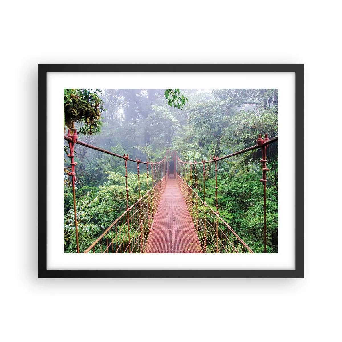 Poster in einem schwarzem Rahmen - Über den Kronen aufgehängt - 50x40 cm