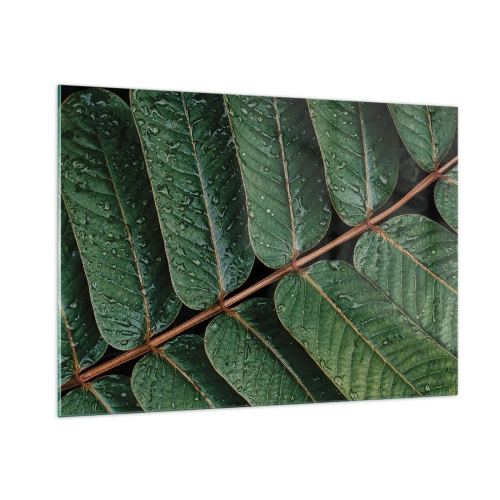 Glasbild - Bild auf glas - Nahaufnahme von grünen Blättern mit Wassertropfen - 100x70cm - Im grünen Rhythmus - Moderne Wanddekoration für Wohnzimmer und Schlafzimmer ARTTOR