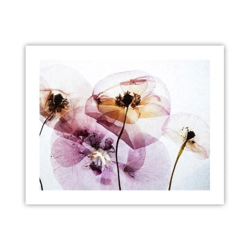 Poster - Transparente Körperblumen - 50x40 cm