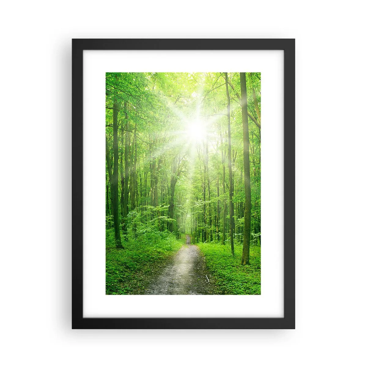 Poster in einem schwarzem Rahmen - Die grüne Kathedrale - 30x40 cm
