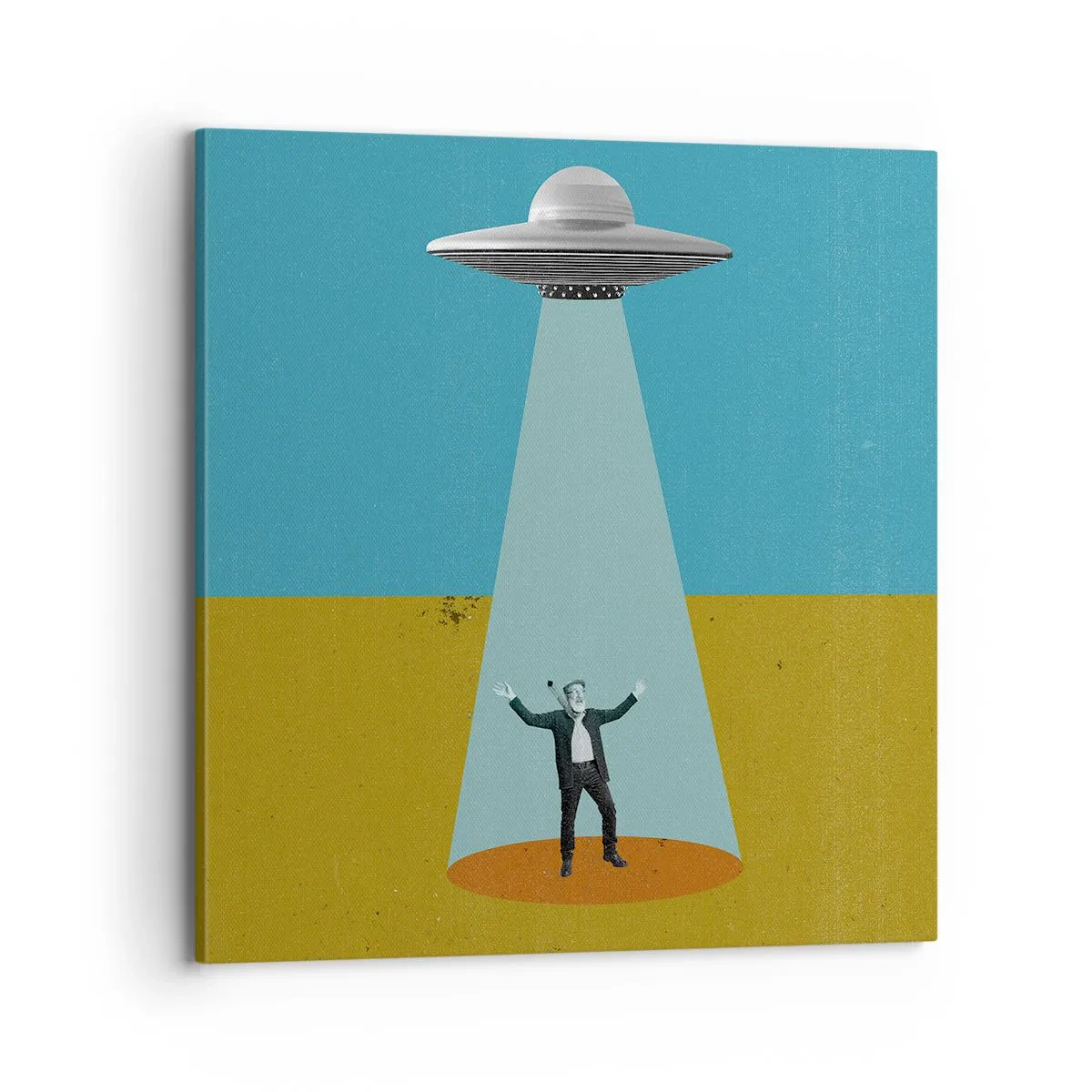 Bild auf Leinwand - Leinwandbild - Nahe Begegnung - 70x70 cm