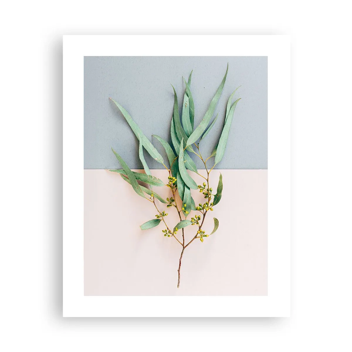 Poster - Pastellige Subtilität - 40x50 cm