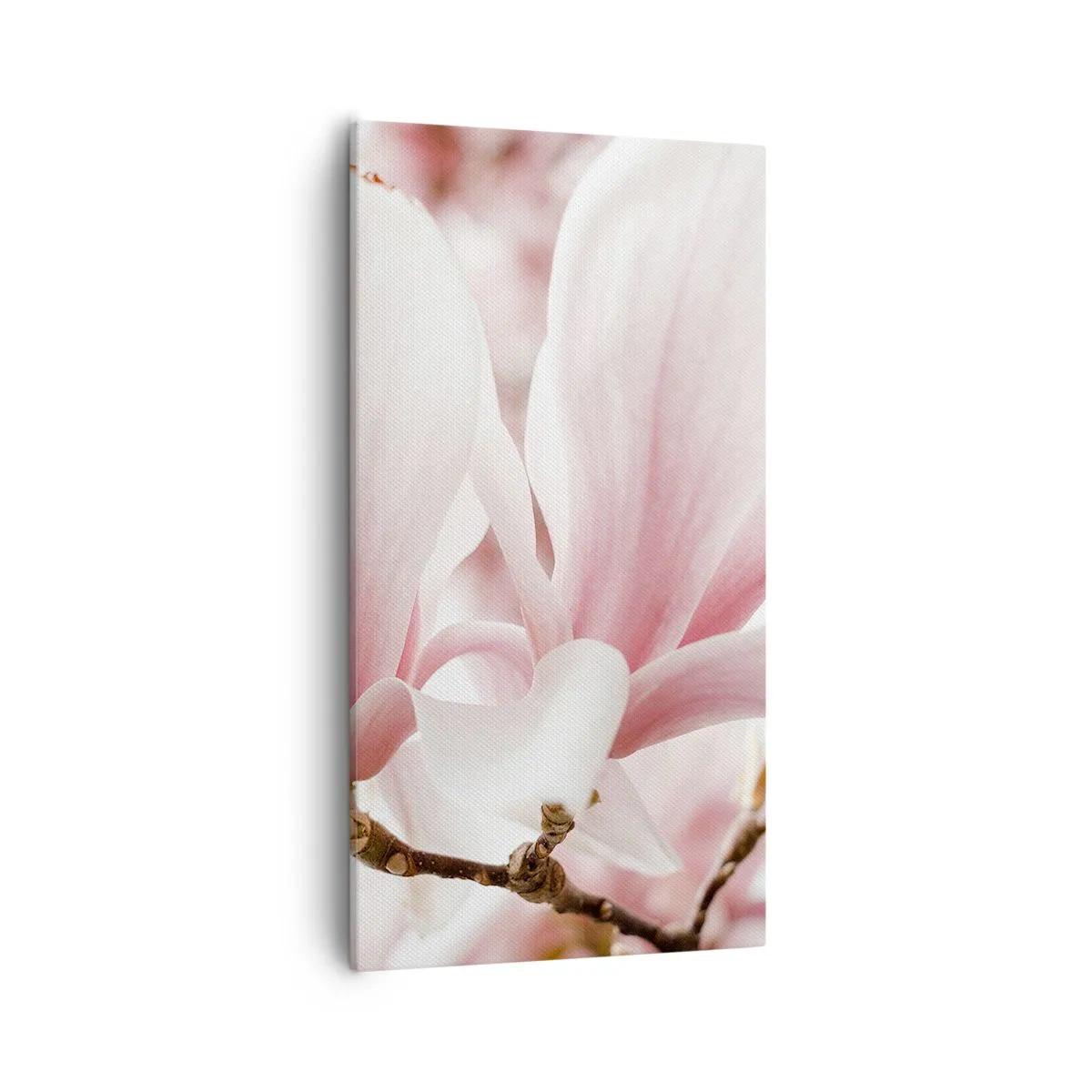 Bild auf Leinwand - Leinwandbild - Eine Fülle von Zärtlichkeit - 55x100 cm