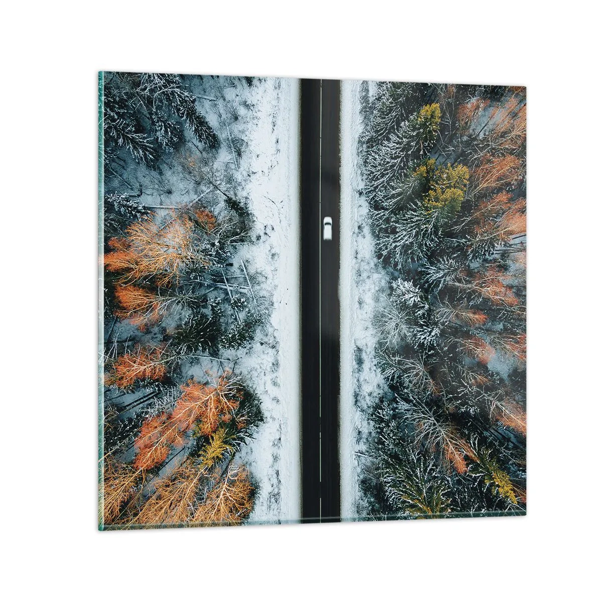 Glasbild - Bild auf glas - Schnitt durch den Winterwald - 40x40 cm