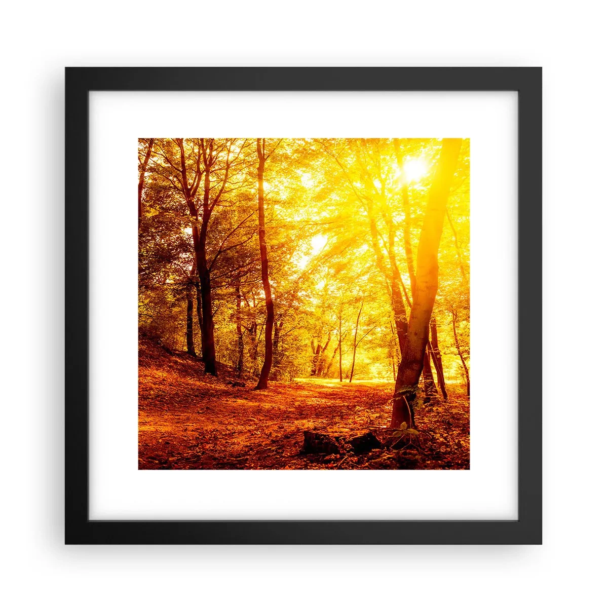Poster in einem schwarzem Rahmen - Auf die goldene Lichtung - 30x30 cm
