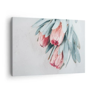 Bild auf Leinwand - Leinwandbild - Dezente rosa Protea-Blüten auf hellem Hintergrund - 70x50cm - Schämen sich für ihre eigene Schönheit - Moderne Wanddekoration für Wohnzimmer und Schlafzimmer ARTTOR