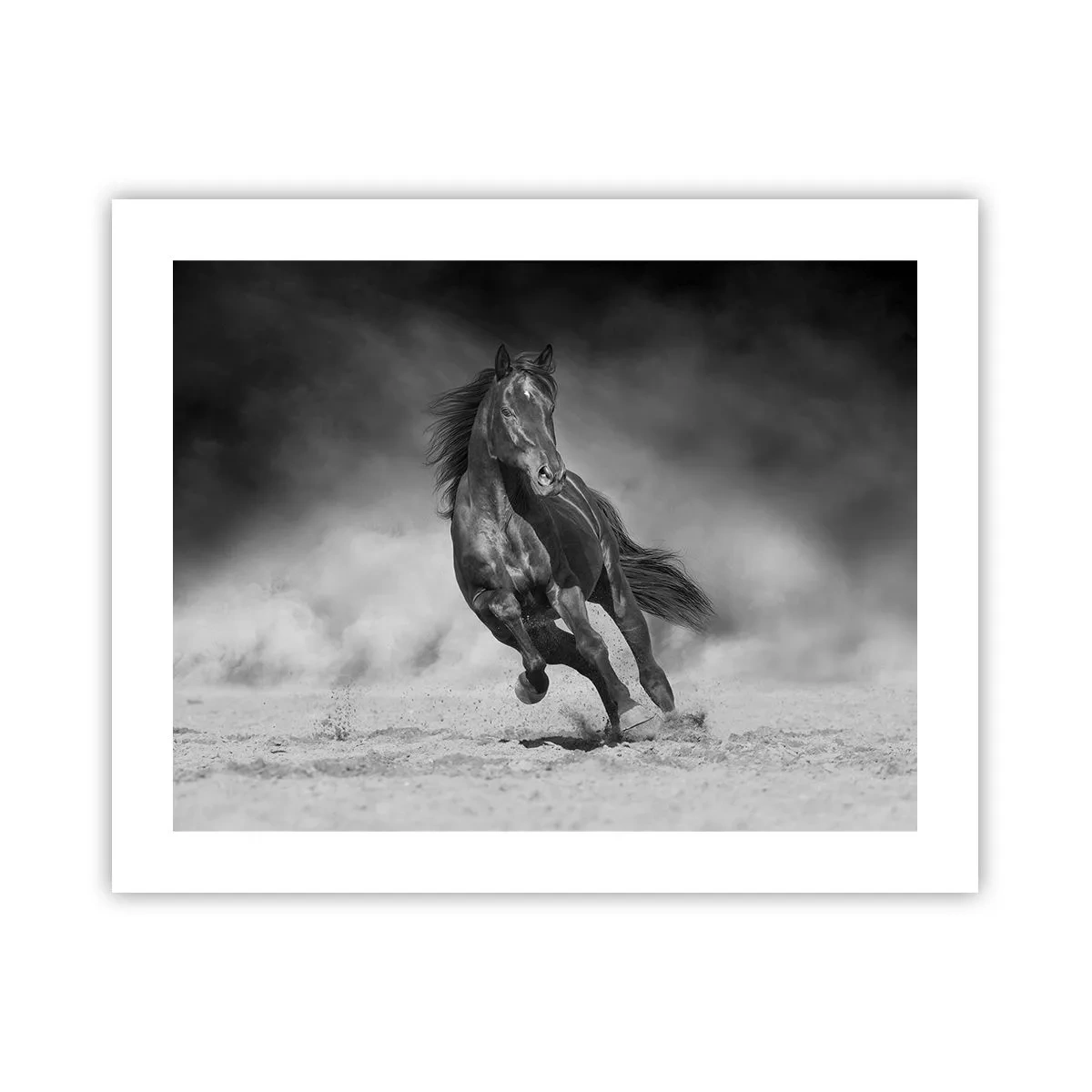 Poster - Würdig des Emirs selbst - 50x40 cm
