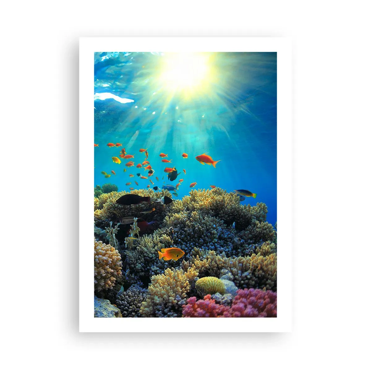 Poster - Unterwasserlandschaft mit Korallenriff und bunten Fischen - 50x70cm - Unterwasserschätze - Moderne Wanddekoration für Wohnzimmer und Schlafzimmer ARTTOR