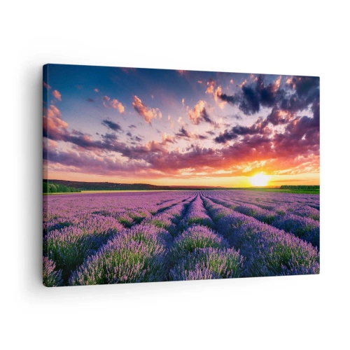 Bild auf Leinwand - Leinwandbild - Ein Lavendelfeld bei Sonnenuntergang mit einem farbenfrohen Himmel - 70x50cm - Lavendel Welt - Moderne Wanddekoration für Wohnzimmer und Schlafzimmer ARTTOR