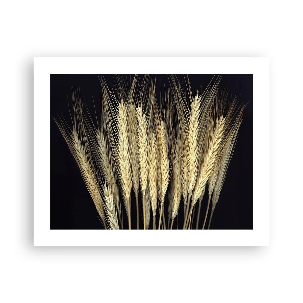 Poster - Rustikale Magie - 50x40 cm