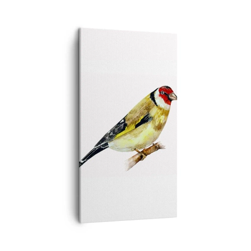 Bild auf Leinwand - Leinwandbild - Vogelporträt - 45x80 cm