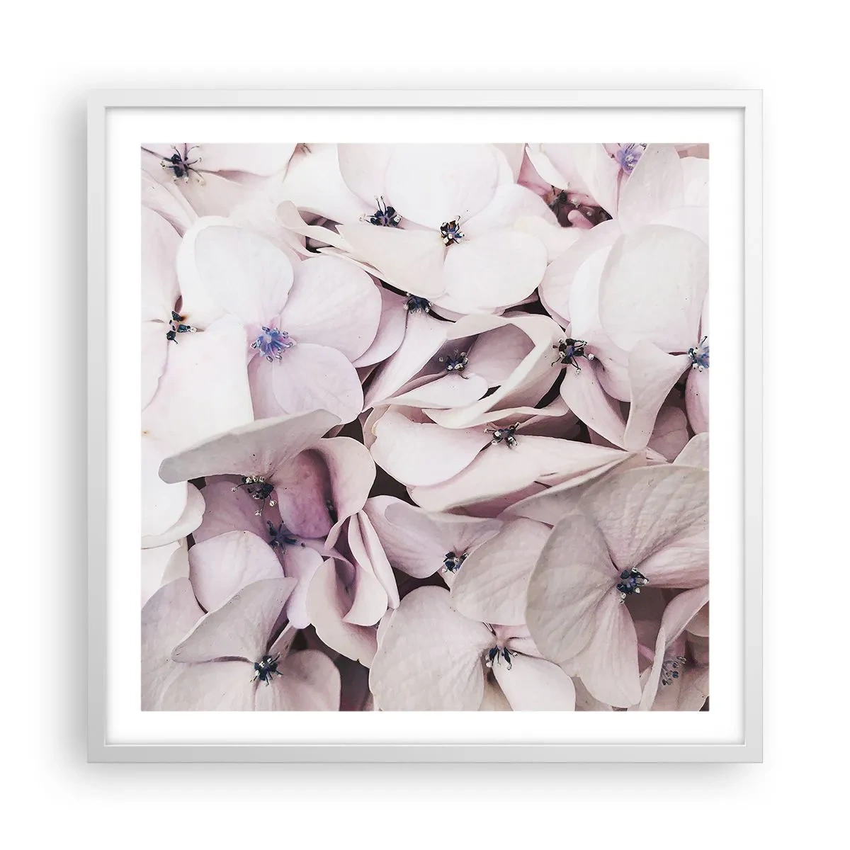 Poster in einem weißen Rahmen - In einer Blumenflut - 60x60 cm