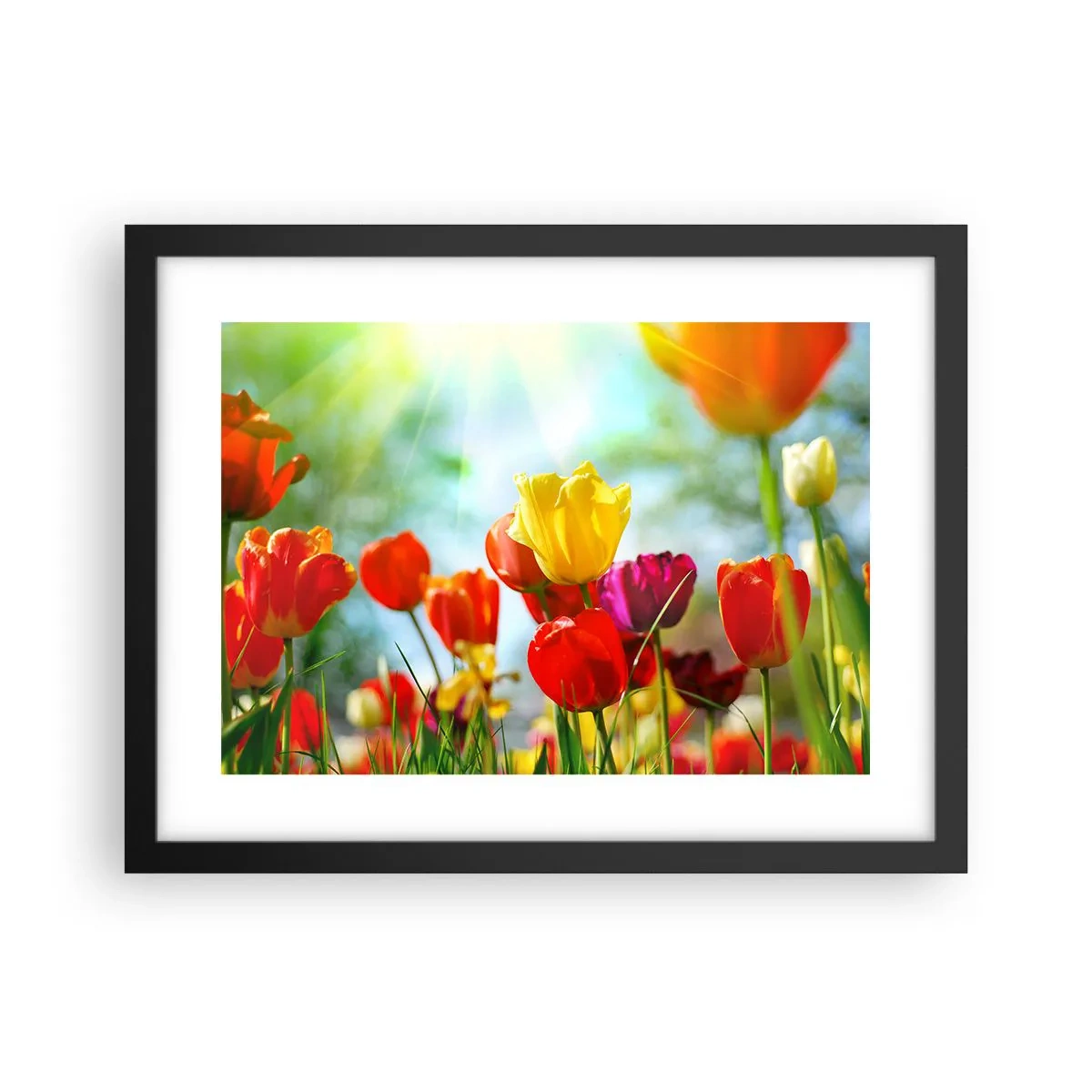 Poster in einem schwarzem Rahmen - Alle Farben der Sonne - 40x30 cm