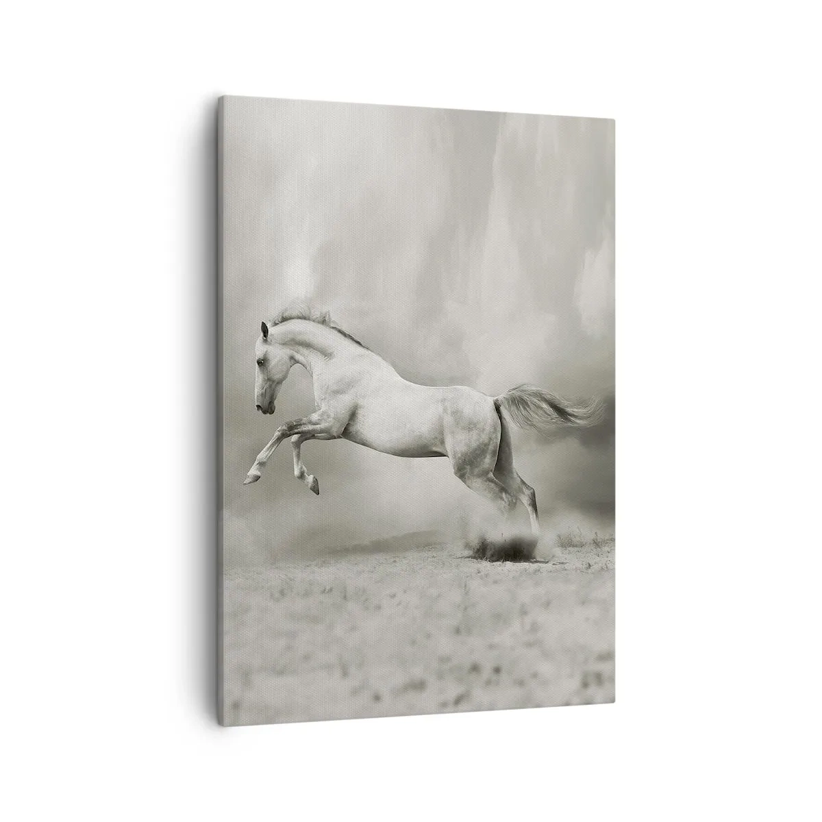Bild auf Leinwand - Leinwandbild - Ein weißes Pferd in einem dynamischen Sprung vor dem Hintergrund nebliger Wolken. - 50x70cm - Zwischen Aufwachen und Schlafen - Moderne Wanddekoration für Wohnzimmer und Schlafzimmer ARTTOR