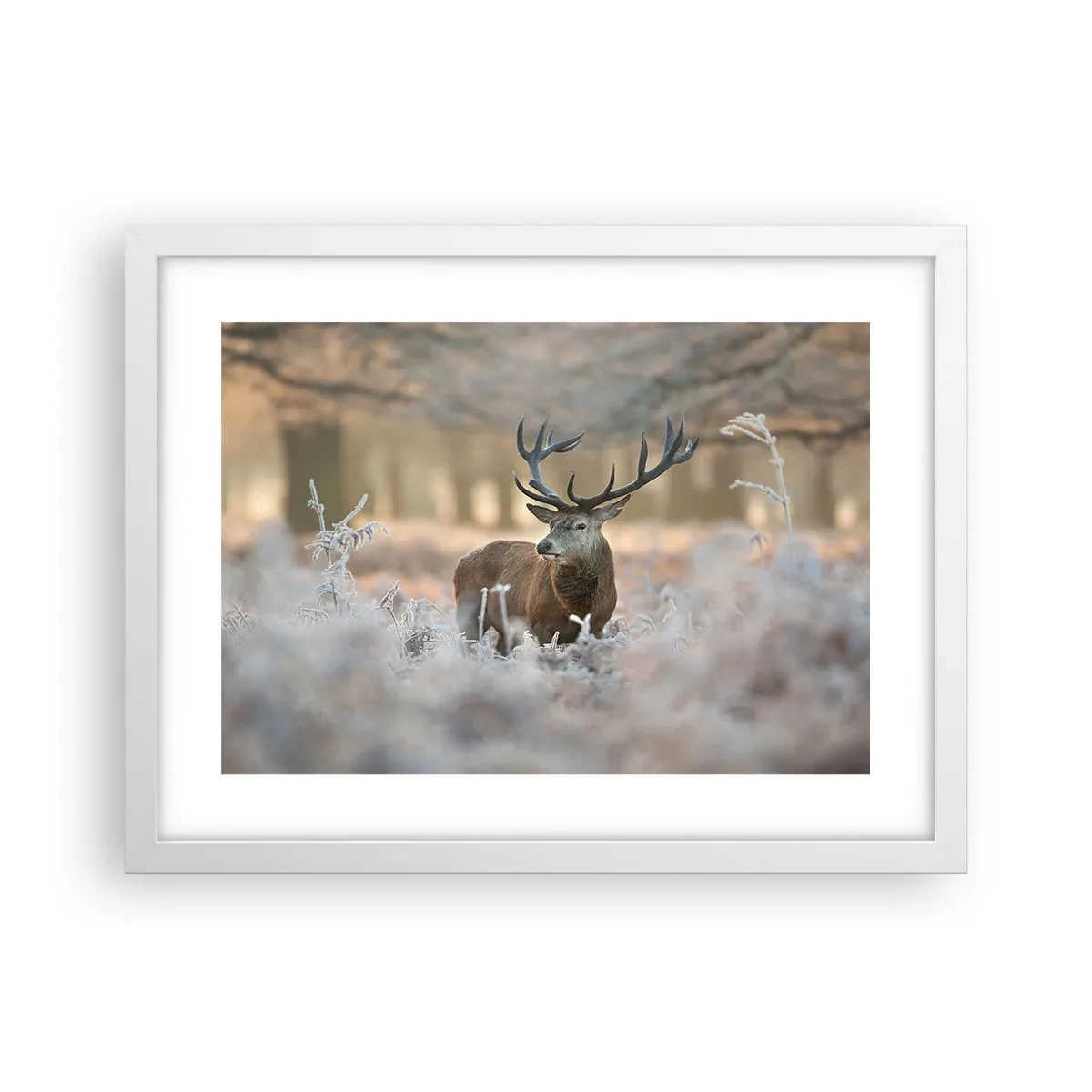 Poster in einem weißen Rahmen - Ein flotter Morgen - 40x30 cm