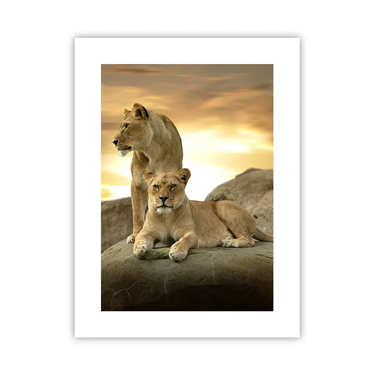 Poster - Königliche Majestät - 30x40 cm