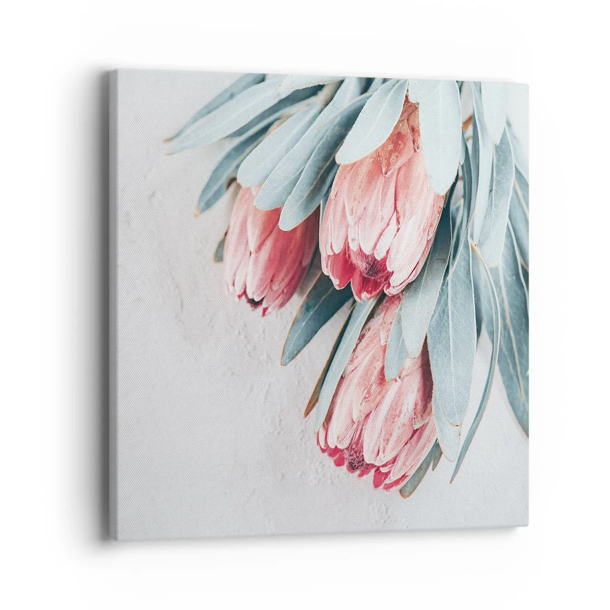 Bild auf Leinwand - Leinwandbild - Schämen sich für ihre eigene Schönheit - 40x40 cm