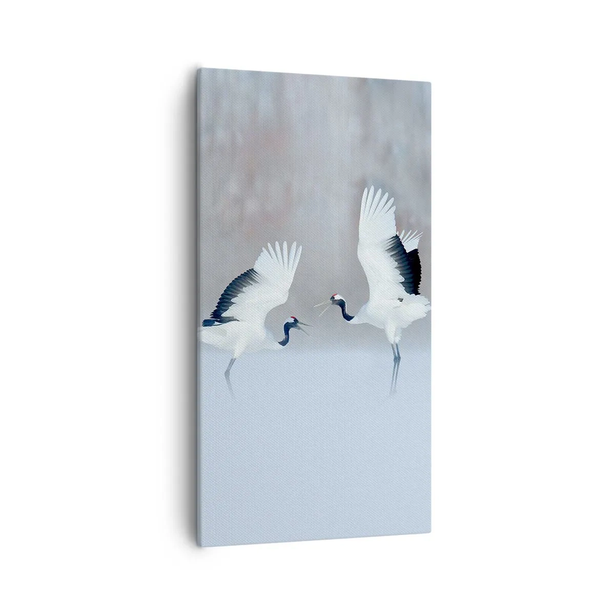 Bild auf Leinwand - Leinwandbild - Tanz im Nebel - 55x100 cm